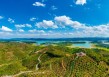 广西百色“致富果”：高品质芒果直供香港，带动近五千户增收