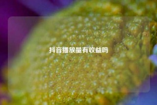 抖音播放量有收益吗
