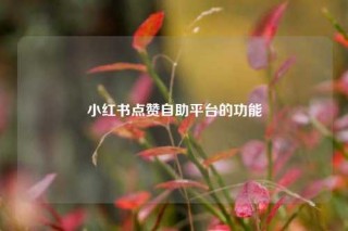 小红书点赞自助平台的功能