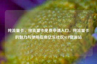 纯流量卡，纯流量卡免费申请入口，纯流量卡的魅力与使用指南亿乐社区SUP货源站