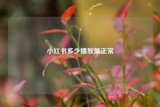 小红书多少播放量正常