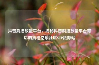 抖音刷播放量平台，揭秘抖音刷播放量平台背后的真相亿乐社区SUP货源站