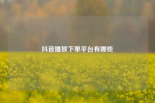 抖音播放下单平台有哪些