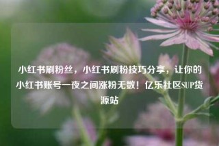小红书刷粉丝，小红书刷粉技巧分享，让你的小红书账号一夜之间涨粉无数！亿乐社区SUP货源站