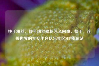 快手粉丝，快手粉丝掉粉怎么回事，快手，连接世界的社交平台亿乐社区SUP货源站