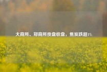 大商所、郑商所夜盘收盘，焦炭跌超1%