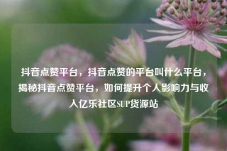 抖音点赞平台，抖音点赞的平台叫什么平台，揭秘抖音点赞平台，如何提升个人影响力与收入亿乐社区SUP货源站
