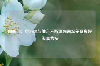 国防部：中方愿与俄方不断增强两军关系良好发展势头
