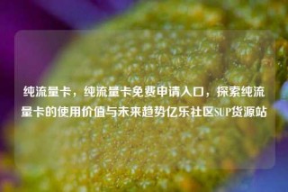 纯流量卡，纯流量卡免费申请入口，探索纯流量卡的使用价值与未来趋势亿乐社区SUP货源站
