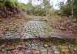 跟“史上最强旅游搭子”一起出发