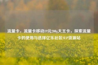 流量卡，流量卡移动19元200g大王卡，探索流量卡的使用与选择亿乐社区SUP货源站