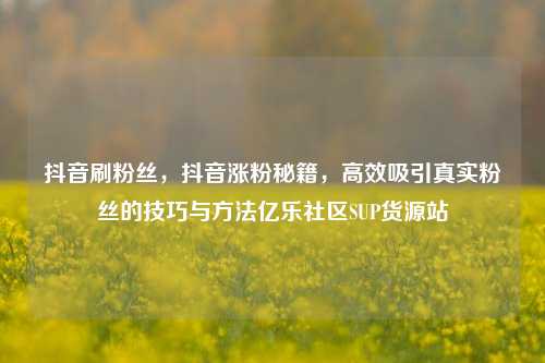 抖音刷粉丝，抖音涨粉秘籍，高效吸引真实粉丝的技巧与方法亿乐社区SUP货源站  第1张