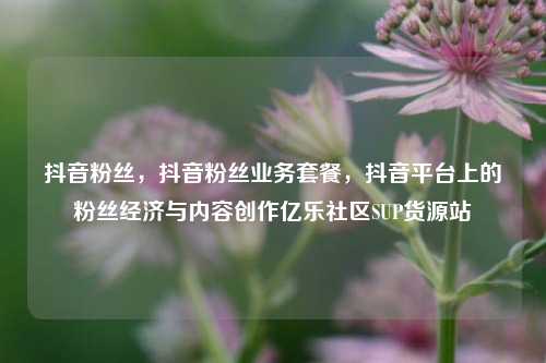 抖音粉丝，抖音粉丝业务套餐	，抖音平台上的粉丝经济与内容创作亿乐社区SUP货源站  第1张