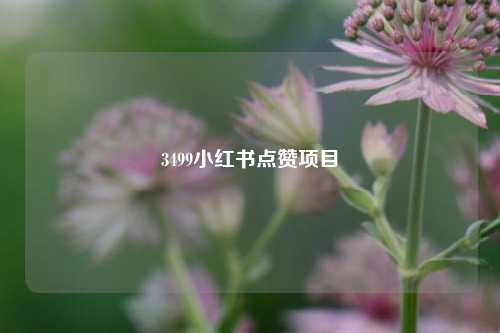 3499小红书点赞项目  第1张