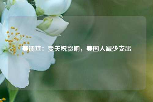 美调查：受关税影响，美国人减少支出  第1张