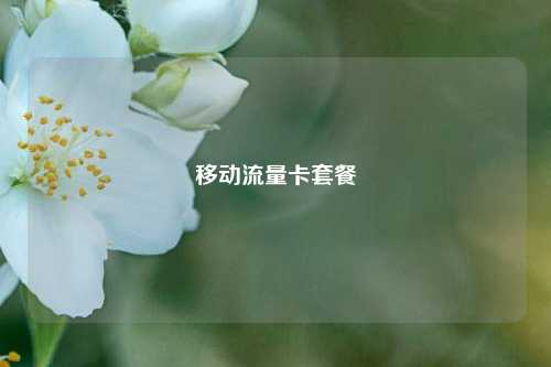 移动流量卡套餐  第1张