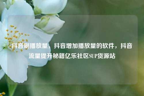 抖音刷播放量，抖音增加播放量的软件	，抖音流量提升秘籍亿乐社区SUP货源站  第1张