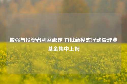 增强与投资者利益绑定 首批新模式浮动管理费基金集中上报  第1张