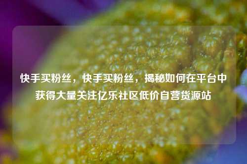 快手买粉丝，快手买粉丝，揭秘如何在平台中获得大量关注亿乐社区低价自营货源站  第1张