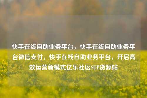快手在线自助业务平台，快手在线自助业务平台微信支付，快手在线自助业务平台	，开启高效运营新模式亿乐社区SUP货源站  第1张