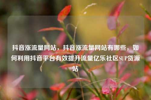 抖音涨流量网站	，抖音涨流量网站有哪些，如何利用抖音平台有效提升流量亿乐社区SUP货源站  第1张