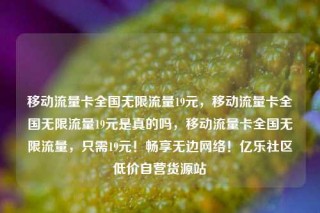 移动流量卡全国无限流量19元，移动流量卡全国无限流量19元是真的吗，移动流量卡全国无限流量，只需19元！畅享无边网络！亿乐社区低价自营货源站
