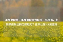 小红书粉丝，小红书粉丝如何涨，小红书，如何抓住粉丝的无限魅力？亿乐社区SUP货源站