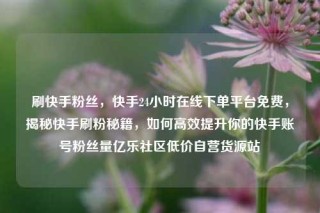 刷快手粉丝，快手24小时在线下单平台免费，揭秘快手刷粉秘籍，如何高效提升你的快手账号粉丝量亿乐社区低价自营货源站