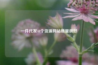 一件代发48个货源网站质量很好