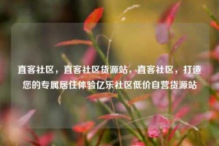 直客社区，直客社区货源站，直客社区，打造您的专属居住体验亿乐社区低价自营货源站