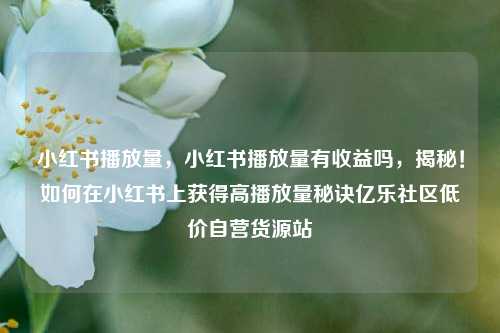 小红书播放量，小红书播放量有收益吗，揭秘！如何在小红书上获得高播放量秘诀亿乐社区低价自营货源站  第1张