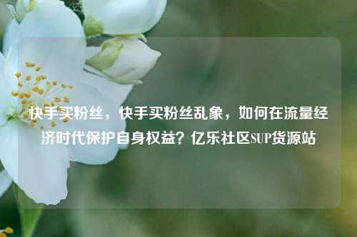 快手买粉丝	，快手买粉丝乱象，如何在流量经济时代保护自身权益？亿乐社区SUP货源站  第1张