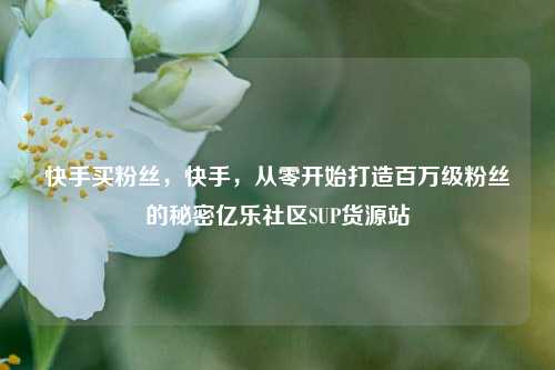 快手买粉丝，快手，从零开始打造百万级粉丝的秘密亿乐社区SUP货源站  第1张