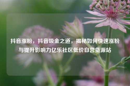 抖音涨粉	，抖音吸金之道，揭秘如何快速涨粉与提升影响力亿乐社区低价自营货源站  第1张