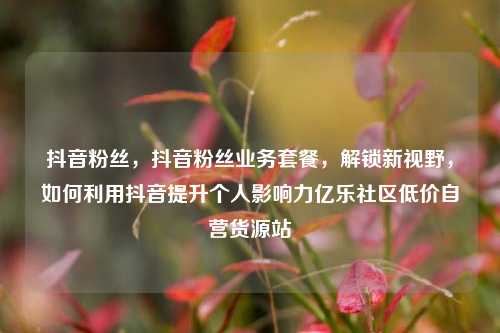 抖音粉丝，抖音粉丝业务套餐，解锁新视野	，如何利用抖音提升个人影响力亿乐社区低价自营货源站  第1张