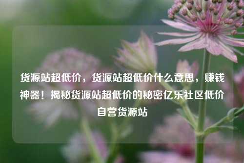 货源站超低价，货源站超低价什么意思，赚钱神器！揭秘货源站超低价的秘密亿乐社区低价自营货源站  第1张
