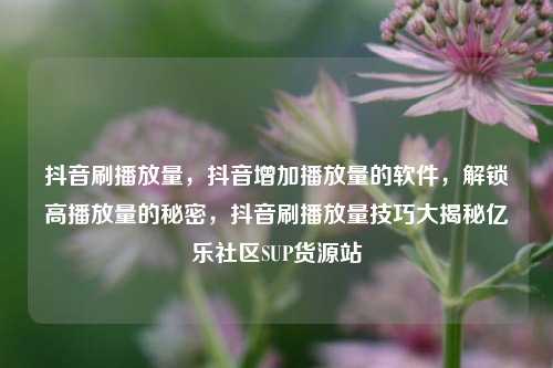 抖音刷播放量，抖音增加播放量的软件	，解锁高播放量的秘密，抖音刷播放量技巧大揭秘亿乐社区SUP货源站  第1张