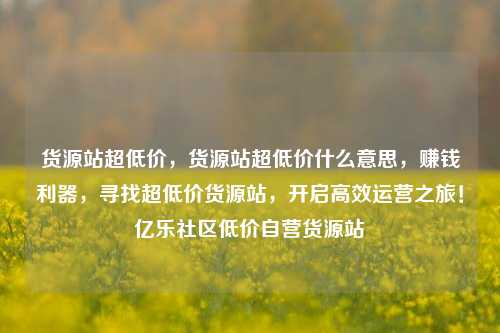 货源站超低价，货源站超低价什么意思，赚钱利器，寻找超低价货源站，开启高效运营之旅！亿乐社区低价自营货源站  第1张